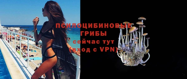 стафф Богородицк