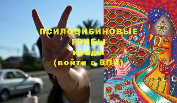 стафф Богородицк