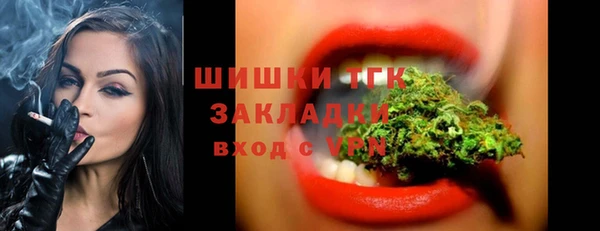 стафф Богородицк