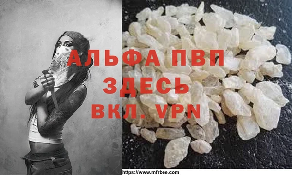 стафф Богородицк