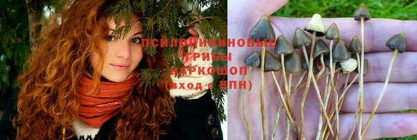 дистиллят марихуана Богородск