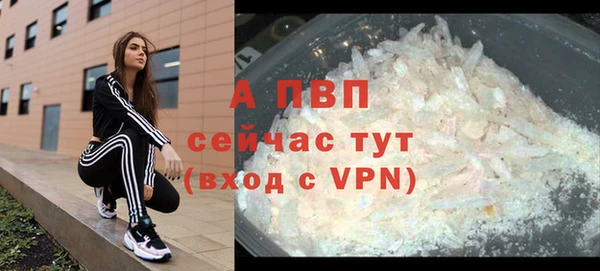 хмурый Богданович