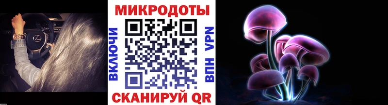 Галлюциногенные грибы прущие грибы  купить  цена  Ростов-на-Дону 